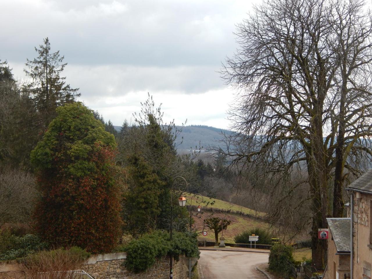 Le Lion D'Or Hotel Ouroux-en-Morvan Kültér fotó